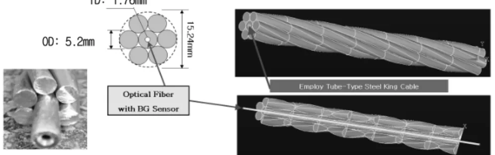 Fig.  2.  Concept  of  FBG  sensors  embedded  tendon  and  its  cross  section