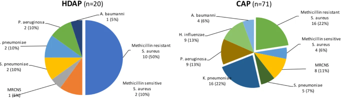 Fig. 1. The proportions of cultured pathologic organisms in patients with hemodialysis associated pneumonia and  community acquired pneumonia
