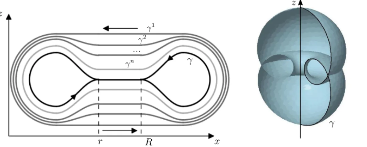 Figure 3: smooth parametrizations of self-intersecting curves.