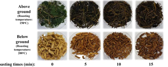Fig.  1.  The  photograph  of  different  roasting  processes  of  ginseng  sprouts.