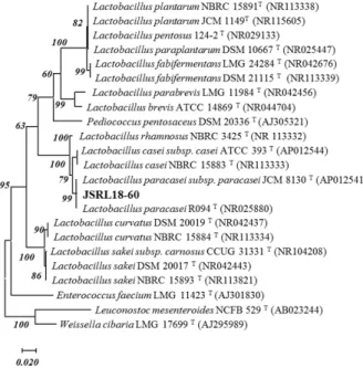 Fig.  3.  Phylogenetic  tree  based  on  nearly  complete  16S  rRNA  gene  sequence  for  JSRL18-60