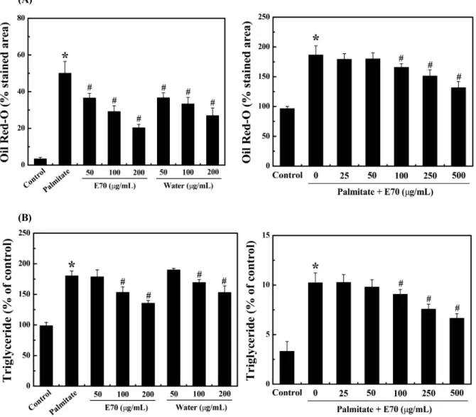 Fig.  5.  ‘Arriheuk’  extracts  regulates  lipid  accumulation  caused  by  palmitate  on  AML-12  cells  (A)  Oil-Red-O  stain  for  lipid  content  staining  was  measured  in  palmitate-treat  cells  (B)  triglyceride  level  was  measured  in  palmitat