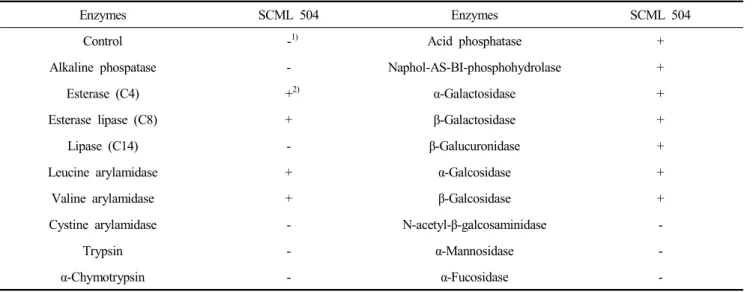 Fig.  2.  Phylogenetic  tree  based  on  nearly  complete  16S  rRNA  gene  sequence  of  SCML  504