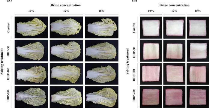 Fig.  2.  Appearances  of  piece-type  (A)  and  shred-type  (B)  kimchi  cabbage  after  salting  using  10,  12,  and  15%  brines  containing  neutral  red  under  high-hydrostatic-pressure  conditions.