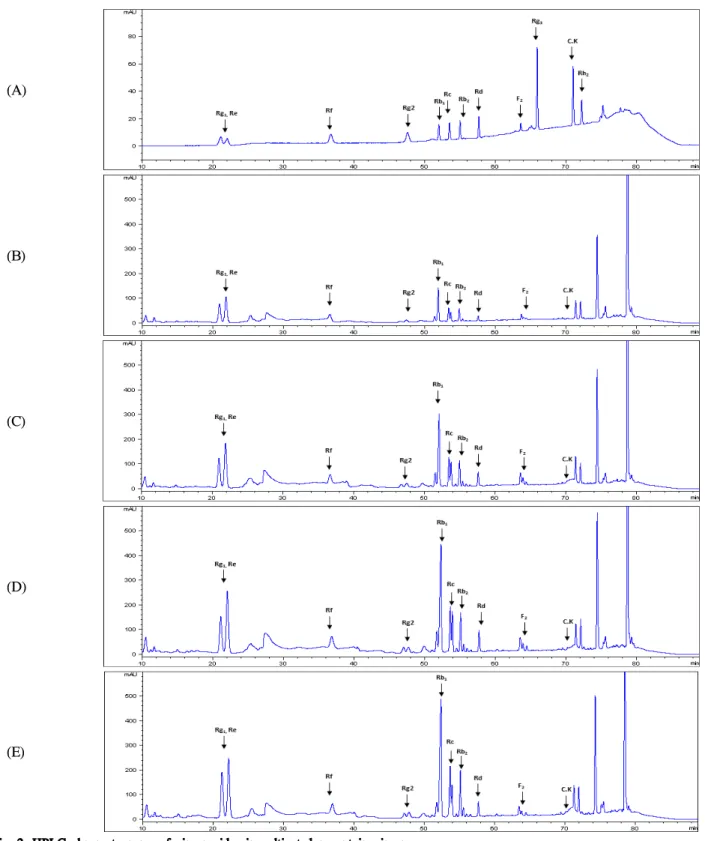 Fig. 2. HPLC chromatograms of ginsenosides in cultivated mountain ginseng.