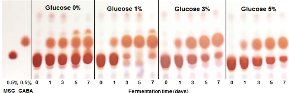 Fig. 5. Effect of glucose on the GABA production of non-alcoholic Makgeolli fermented by L
