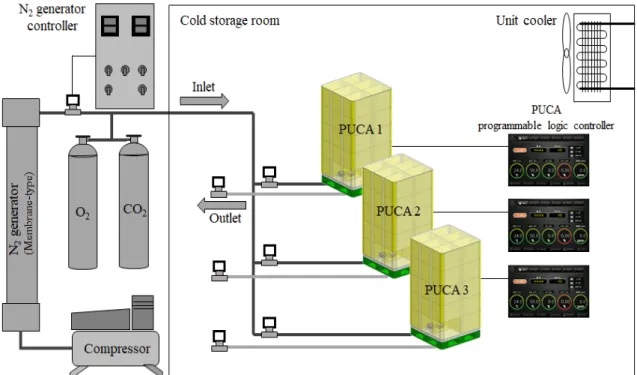 Fig. 1. Schematic representation of pallet unit-controlled atmosphere packaging system