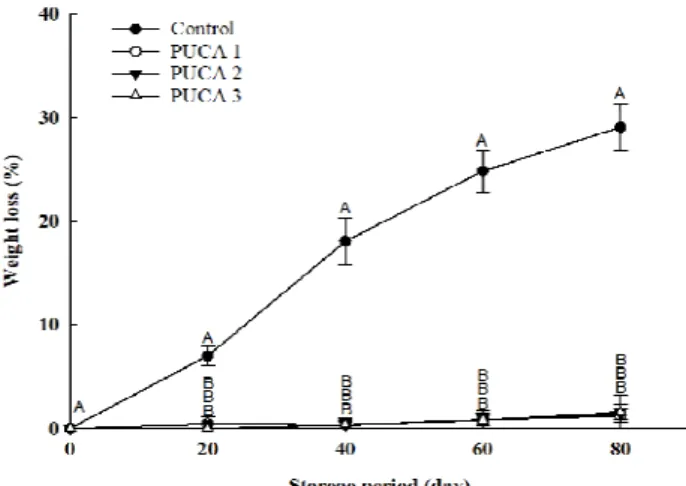 Fig. 2. Changes in the weight loss of the kimchi cabbages treated with pallet unit-controlled atmosphere packaging during storage.