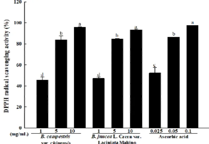 Fig. 1. DPPH radical scavenging activity of various concentrations Brassica spp. baby leaf extract.