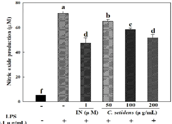 Fig. 2. Effects of C. setidens extract on cell viability of RAW 264.7 cells.