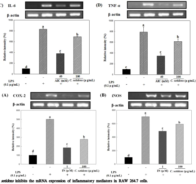 Fig. 4. C. setidens inhibits the mRNA expression of inflammatory mediators in RAW 264.7 cells.