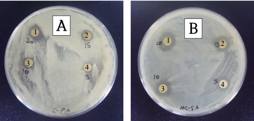 Fig. 7. Inhibitory effects of different concentrations of the chloroform extracts from the methanol extracts of In-jin-ssuk against pathogens.