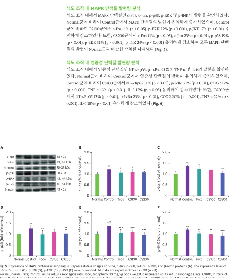 Fig. 5. Expression of MAPK proteins in esophagus. Representative images of c-Fos, c-Jun, p-p38, p-ERK, P-JNK, and β-actin proteins (A)