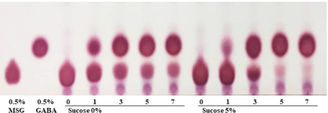Table 3. HPLC analysis of GABA in PFE co-fermented by Lc.