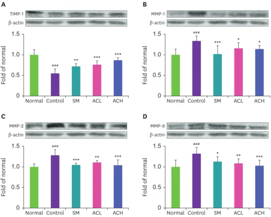 Fig. 4. Expressions of TIMP-1 and MMPs protein in liver tissue. The protein expression level of TIMP-1 (A), MMP-1  (B), MMP-2 (C), and MMP-8 (D) were detected by western blotting