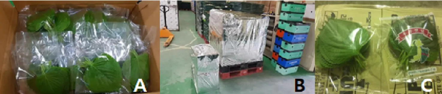 Fig. 5. The method of packaging and palletizing covering to export fresh perilla leaves to Singapore