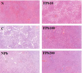 Fig. 2. Effect of P. brevitarsis seulensis larvae fermented using B.