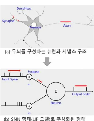 그림 1. 실제 두뇌의 뉴런과 시냅스 구조(a)와 인공지능 구현을 위해 추상화한 모델(b)