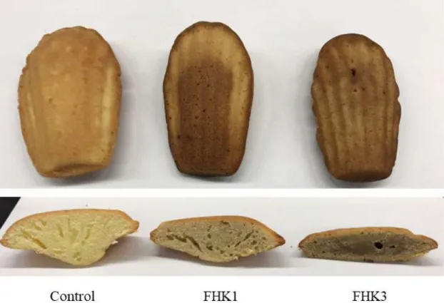 Fig. 1. Front and cross sections of madeleine added with fermented halla gold kiwifruit (FHK).