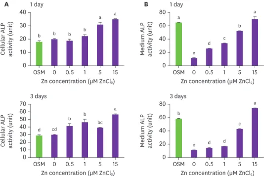 Fig. 3. Cellular (A) and medium (B) ALP activity in osteoblastic MC3T3-E1 cells treated with various Zn  concentration for day 1 and 3