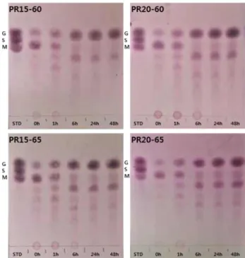 Fig. 4. TLC analysis in experiment groups of enzyme-substrates reaction product.