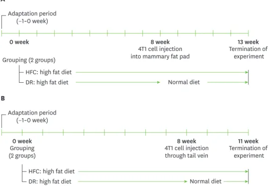 Fig. 1. Experimental study design. After 1 week of adaptation, 8-week-old Balb/c mice were fed a high-fat diet for  8 weeks, and then 4T1 mouse mammary tumor cells were transplanted into their mammary fat pads (1 × 10 4 ) (A)  or injected into tail vein (5