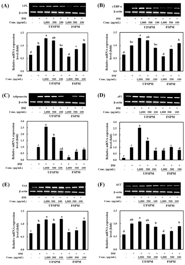 Fig. 4. Effect of unfermented and fermented soy-powder milk on mRNA expression of LPL (A), C/EBP-α (B), adiponectin (C), aP2 (D), FAS (E), and ACC (F).