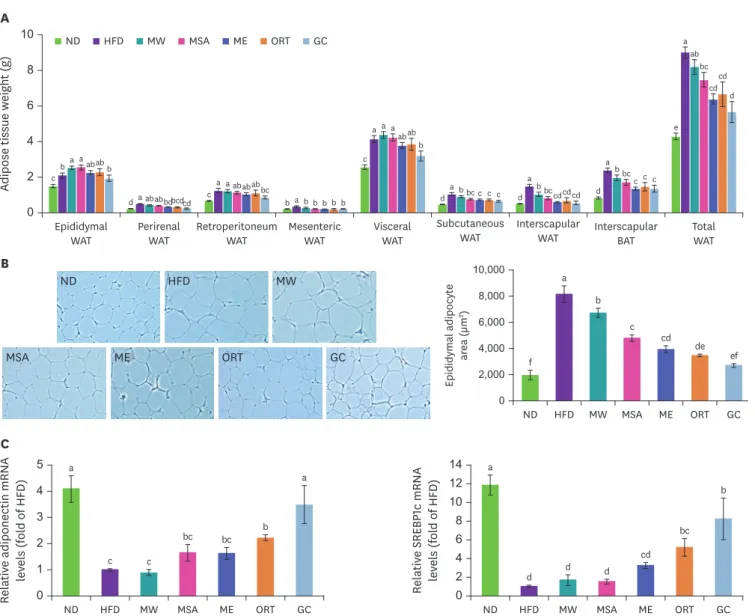 Fig. 4. Effects of MW, MSA, ME, and ORT supplementation on adipose tissue and gene expression in mice fed with HFD for 13 weeks
