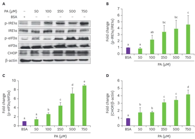 Fig. 2. Endoplasmic reticulum stress markers on treatment with different concentrations of PA in HepG2 cells; (A) protein expression and (B-D) fold change