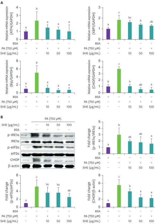 Fig. 4. Effect of SHE on PA induced endoplasmic reticulum stress marker genes in HepG2 cells (A) mRNA  expression and (B) protein expression and fold change