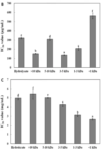 Fig. 2. Antioxidant activity of the enzymatic hydrolysate and peptides obtained from perilla seed meal protein