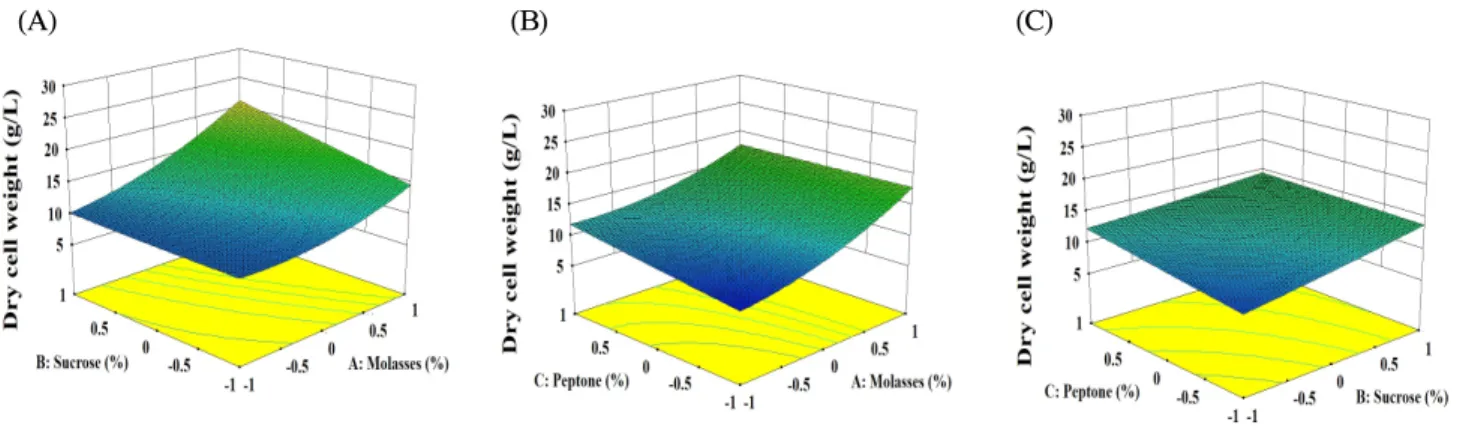Fig. 4. Three-dimensional response surface plot of dry cell weight by B. subtilis SRCM102046.