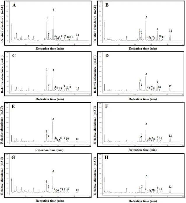 Fig. 3. HPLC chromatograms of isoflavones in SPM (0 h) and fermented SPM (60 h) extracts.