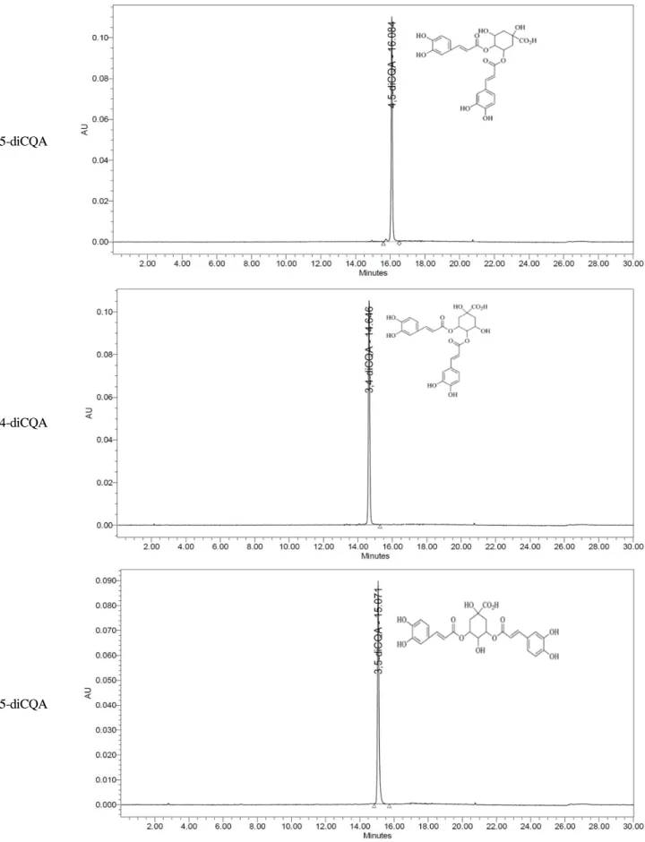 Fig. 1. Chemical structures and chromatogram of major chlorogenic acids present in green coffee bean extract.