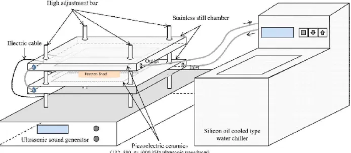 Fig. 1. Schematic diagram of the ultrasonic thawing system. System includes a metallic tank composed of a pair of ultrasonic transducer (132, 580, and 1,000 kHz), 600 W ultrasonic generator, and a cooling units.