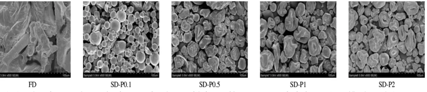 Fig. 1. Scanning electron microscopic photograpghs of spray-dried pumpkin sweet potato hydrolysates (magnification ×500).