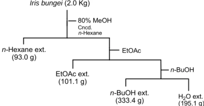 Fig.  1.  Liquid-liquid  partition  of  Mongolian  Iris  bungei.