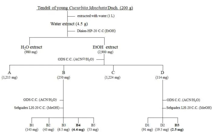 Fig.  1.  Flow  chart  for  sequential  fractionation  of  water  extract  from  tendril  of  Cucurbita  moschata  Duch..