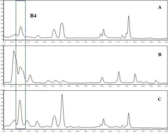 Fig.  5.  HPLC  analysis  for  B4  or  D3  component  from  tendril  of  various  pumpkins.