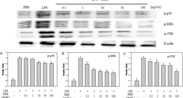 Fig. 5. Effect of Ishige sinicola ethanol extract (ISEE) on MAPKs expression in LPS-induced RAW 246.7 cells