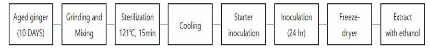 Fig. 1. Manufacturing process of aged and fermented ginger.