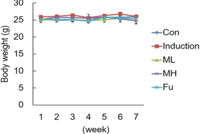 Fig. 2. Body weight change between group in AGS gastric cancer xenograft model.