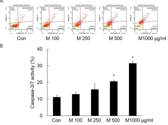 Fig. 3. Effect of Makgeolli on caspase-3/7 activity in AGS cells.