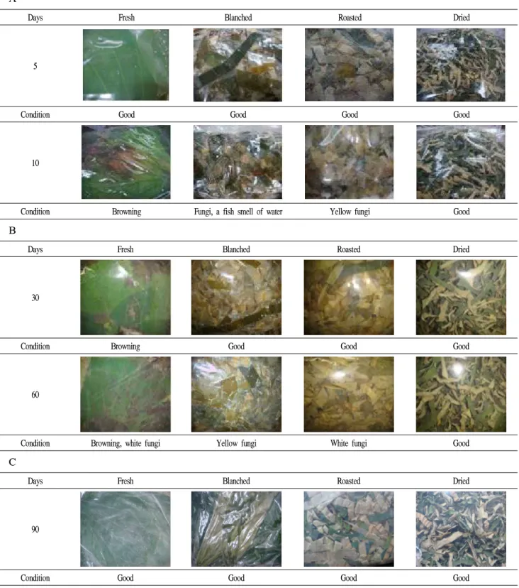 Fig. 1. Appearance of lotus leaves during storage (A, at 25℃; B, at 4℃; C, -10℃).