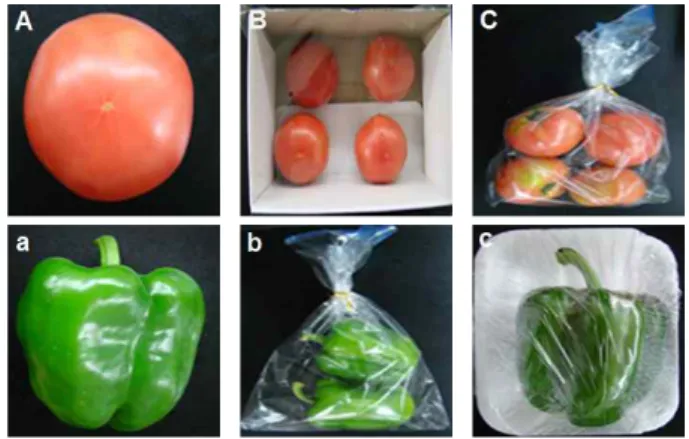 Fig. 1. Packaging types for tomato and paprika.