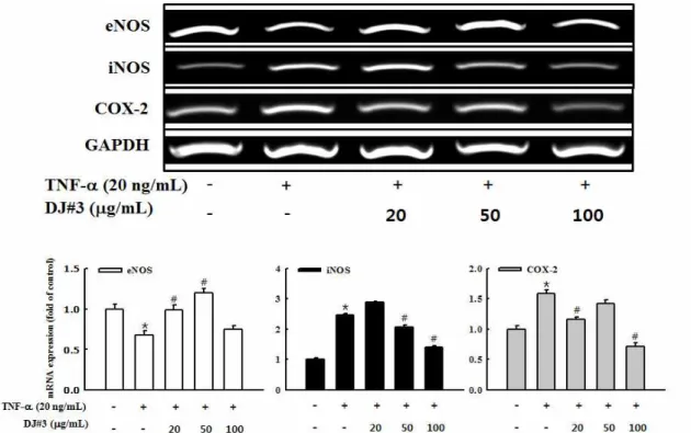 Fig. 4. Effects of DJ#3 on eNOS, iNOS and COX-2 mRNA gene expression in tumor necrosis factor (TNF)-α-stimulated human umbilical vascular endothelial cells (HUVECs).