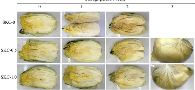 Fig. 4. Changes in appearance of salted Kimchi cabbage during storage.