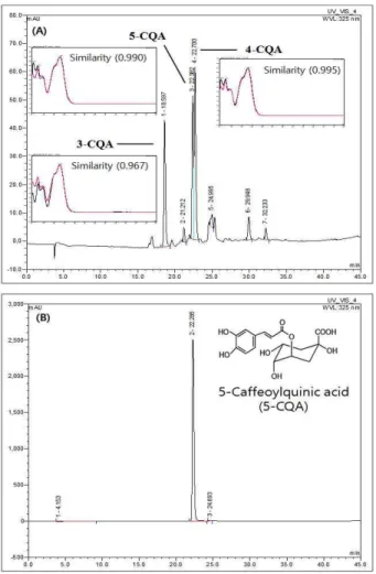 Fig. 3. Chlorogenic acid analysis using HPLC of 35% coffee-ground liqueur (CGL, 1 month) (A), 5-caffeylquinic acid (B) measured at 325 nm.