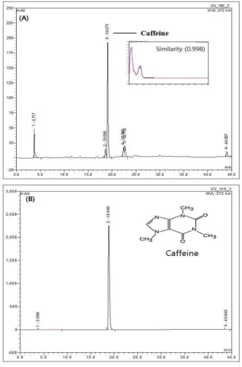Fig. 4. Caffeine analysis using HPLC of 35% coffee-ground liqueur (CGL, 1 month) (A), caffeine standard (B) measured at 272 nm.