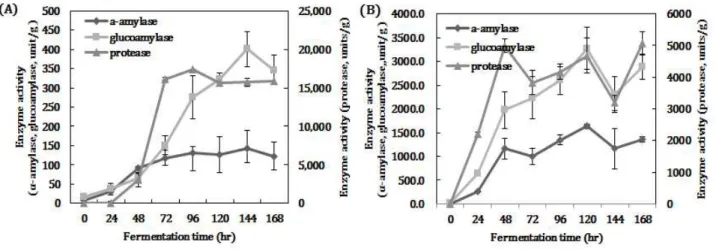 Fig. 3. Change of enzyme activity on fermentation time of solid starter.